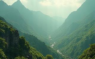 पर्यावरण डिज़ाइन